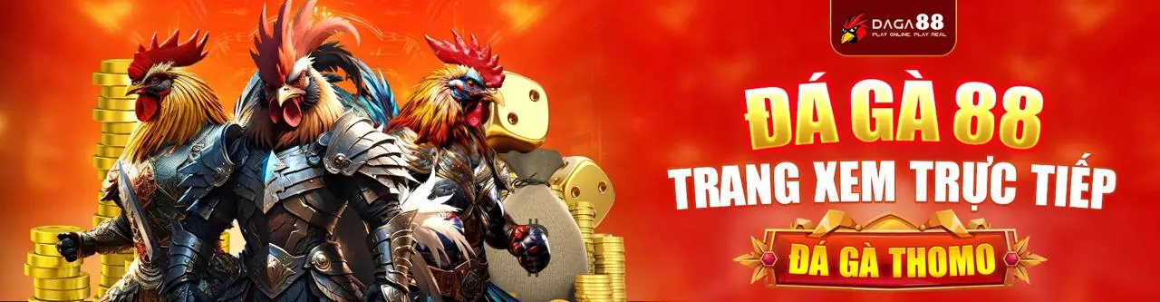 Hình ảnh hỗ trợ khách hàng và câu hỏi thường gặp về đá gà trực tiếp