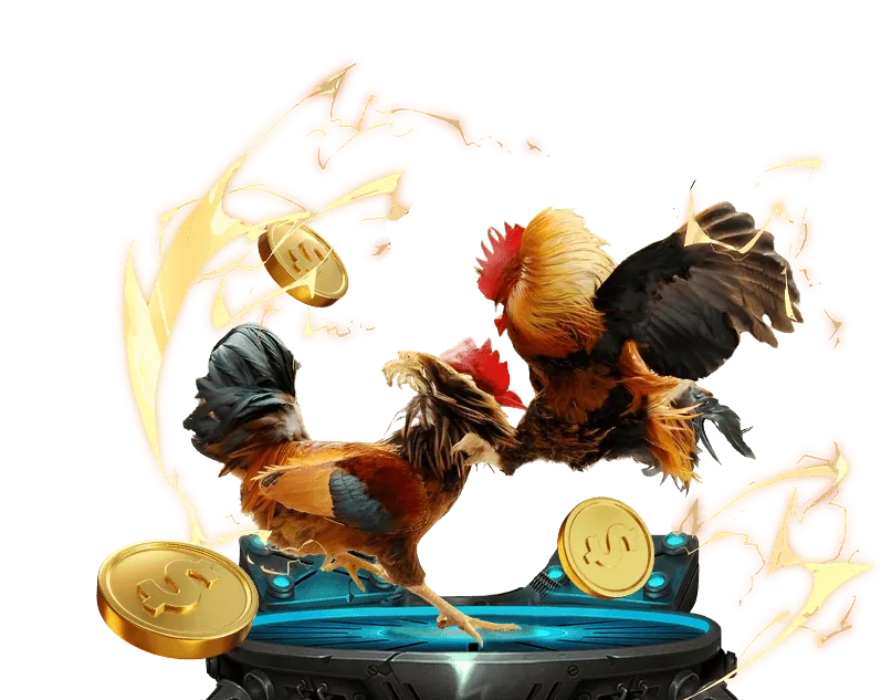 Chương trình VIP Rio66